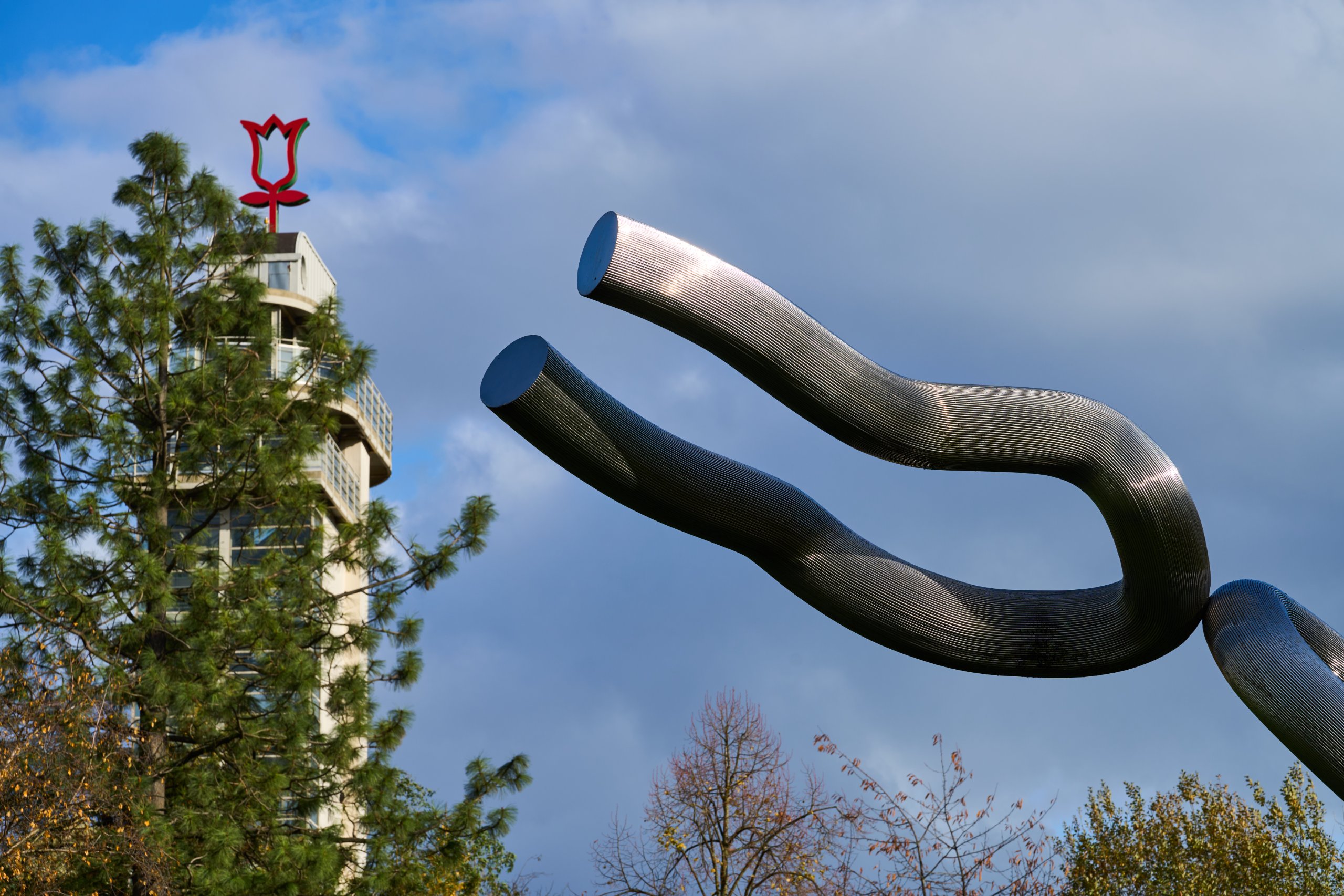 2025 11 02 Gruga 0004